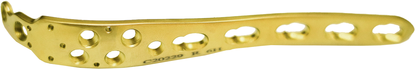 Дистальна ліктьова пластина, ЕЙЧ БІ ОРТО